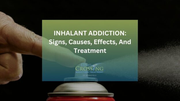 Inhalant Addiction Signs, Causes, Effects, And Treatment Inhalant Addiction Signs, Causes, Effects, And Treatment