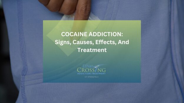Cocaine Addiction Signs, Causes, Effects, And Treatment Cocaine Addiction Signs, Causes, Effects, And Treatment