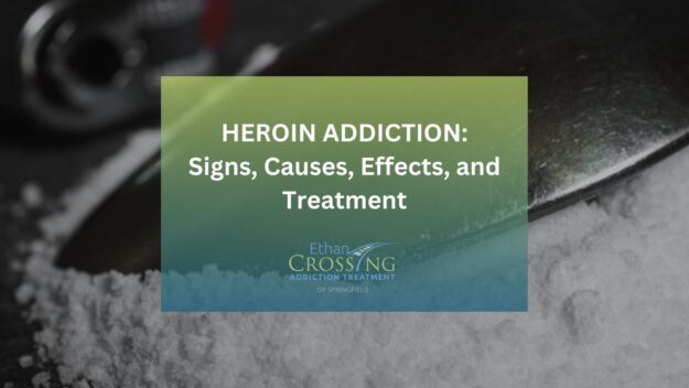 Heroin Addiction Signs, Causes, Effects, and Treatment Heroin Addiction Signs, Causes, Effects, and Treatment