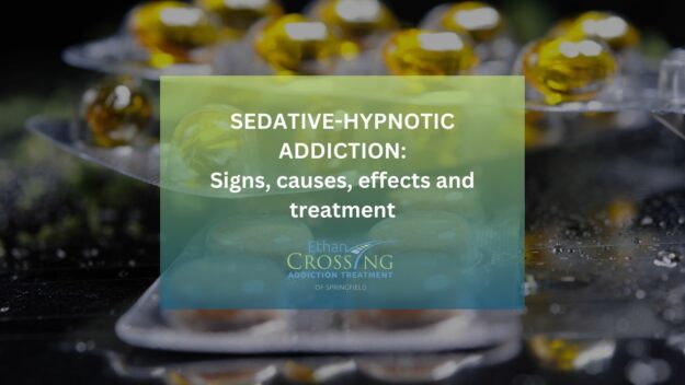 Sedative-Hypnotic Addiction_ Signs, causes, effects and treatment sedative hypnotic addiction