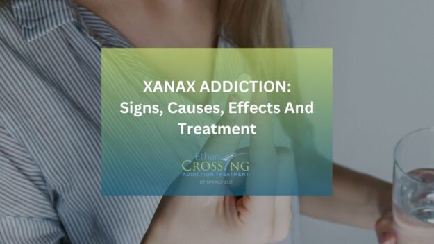 Xanax Addiction Signs, Causes, Effects And Treatment Xanax Addiction Signs, Causes, Effects And Treatment