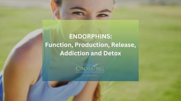 Endorphins_ Function, Production, Release, Addiction and Detox Endorphins