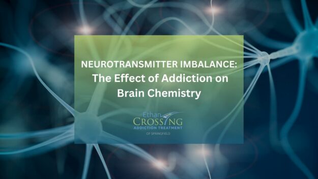 Neurotransmitter Imbalance_ The Effect of Addiction on Brain Chemistry Neurotransmitter Imbalance