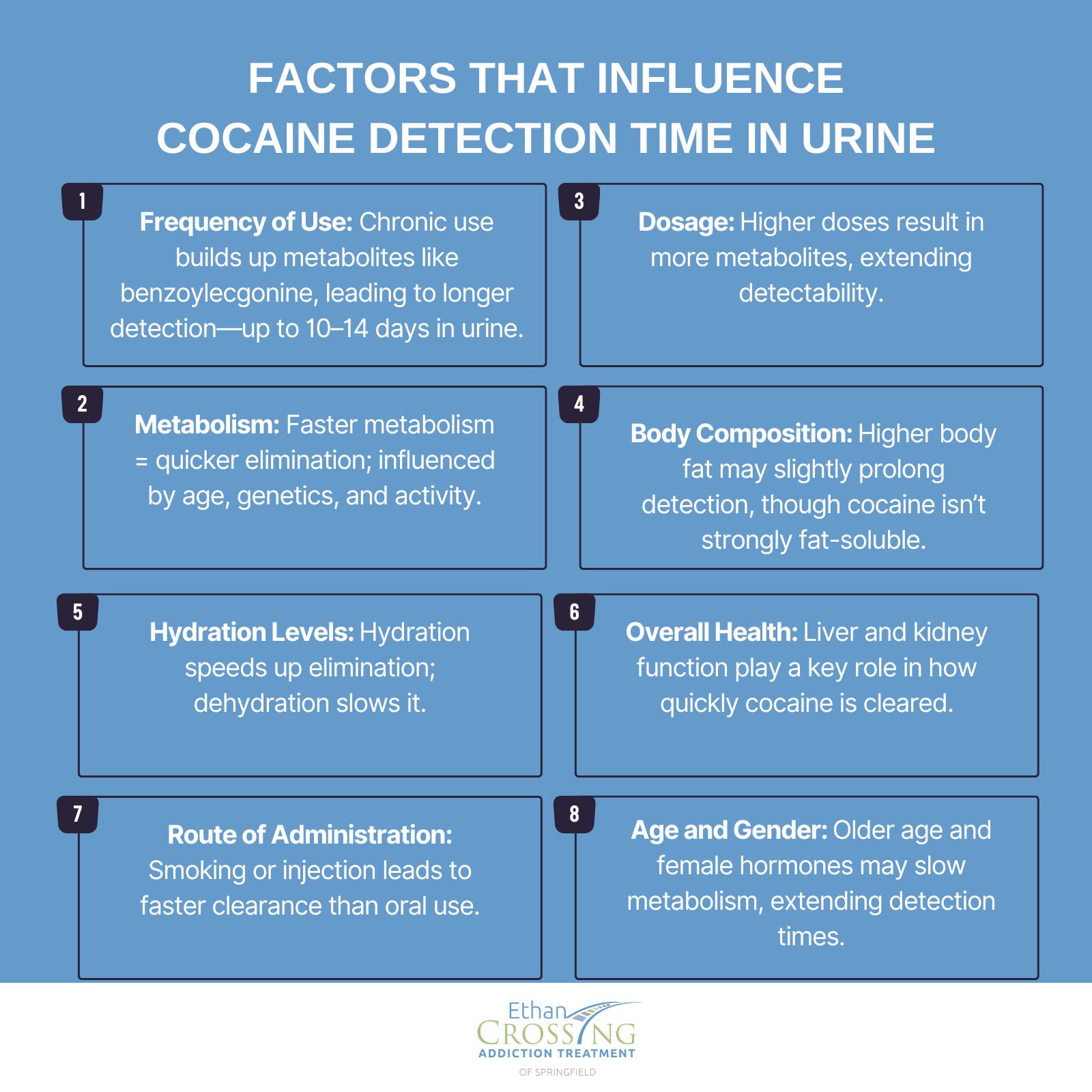 Factors That Influence Cocaine Detection Time in Urine