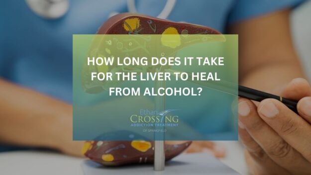 How Long Does It Take for the Liver to Heal from Alcohol